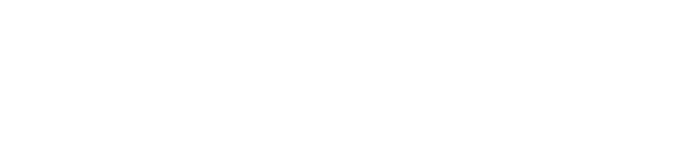 Stran HR Consultancy